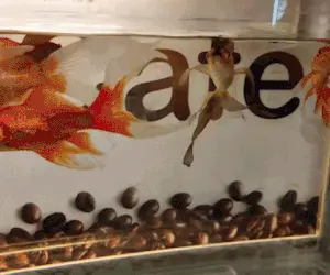 300 X 250 Reklam Alanı