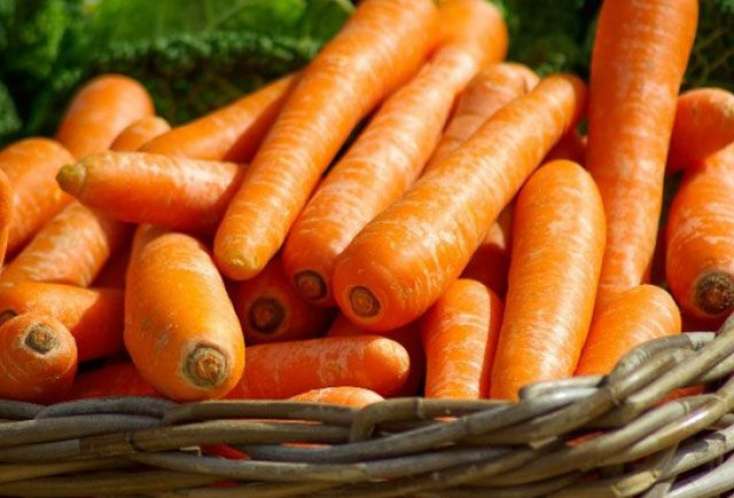 Yerkökünün sağlamlığa möhtəşəm təsirləri