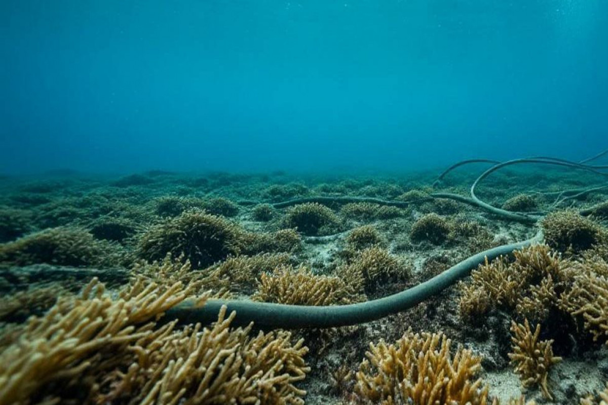Latviya Baltik dənizində optik lifli kabelin zədələndiyini açıqlayıb