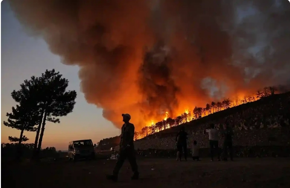 İyulun 27-də Türkiyədə baş vermiş 44 meşə yanğını nəzarət altına alınıb.