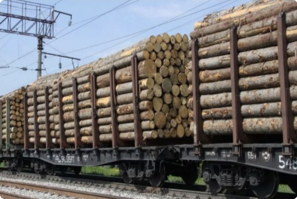 Tramp ağac və ağac məhsullarının ABŞ-a idxalına əlavə rüsumlar tətbiq edib