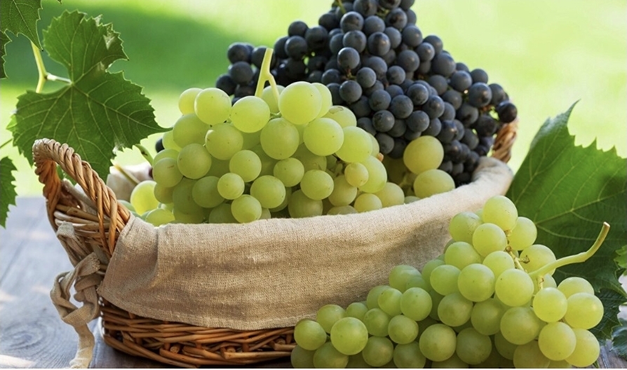 Gündə bir kasa üzüm yeməyin faydaları
