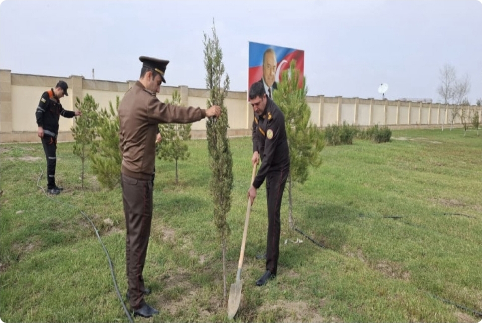 FHN-in Aran Regional Mərkəzi ağacəkmə aksiyası keçirib