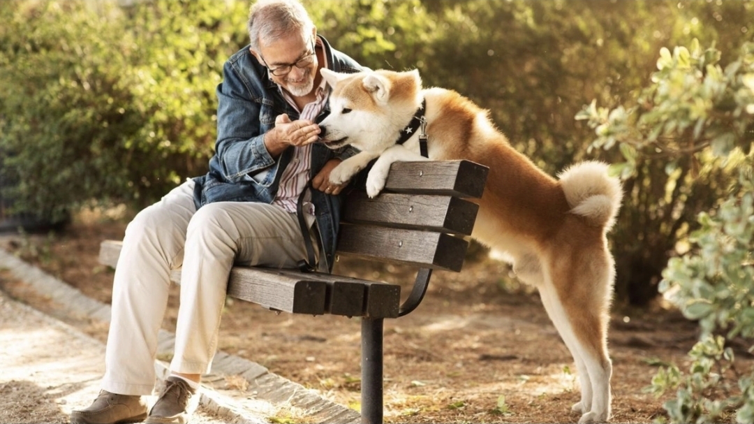 Alimlər itlərin insanın qorxusunu necə anladıqlarını öyrəniblər