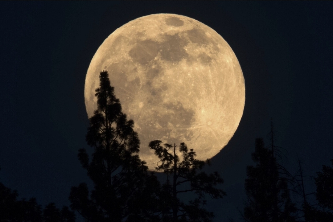 Alimlər smartfonla Ayın şəklini çəkməyin niyə çətin olduğunu izah ediblər