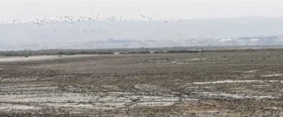 Azərbaycanın ən böyük göllərindən biri QURUYUR: Ekoloqlar həyəcan təbili çalırlar
