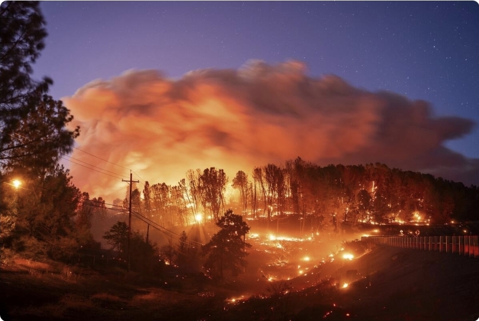 Fransa və İspaniyada meşə yanğınları səbəbilə 100 mindən çox insan təxliyə edilib