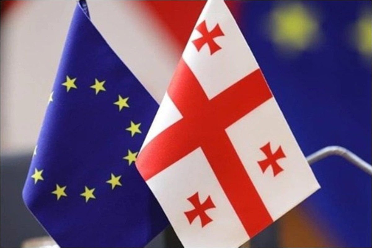 Gürcüstan Aİ-dən üzr istəməyi tələb edib