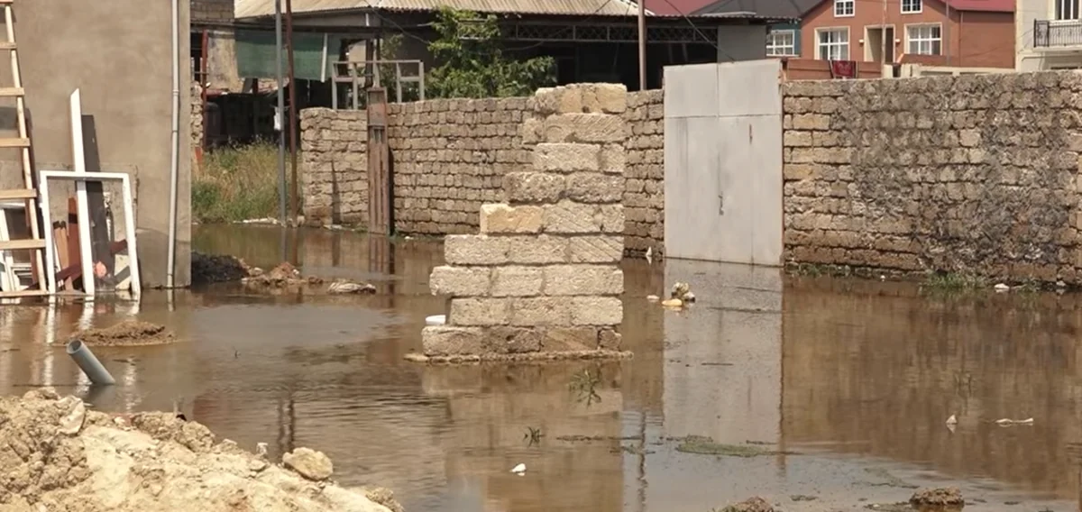 Məmmədlidə evlər hələ də su altındadır: Zəhərli ilanlar peyda olub